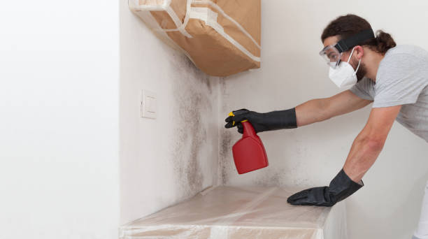 Professional Black Mold Removal technician working in Fairview, NY